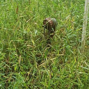 Meet your Posher, Nikki